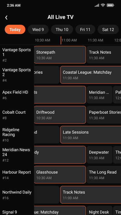 Streamora TV guide on a phone